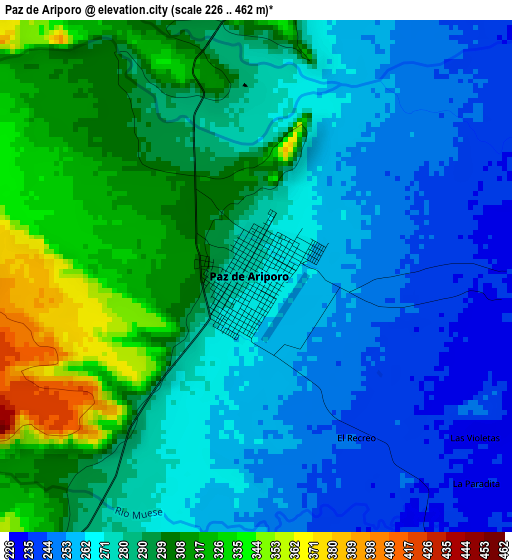 Paz de Ariporo elevation map