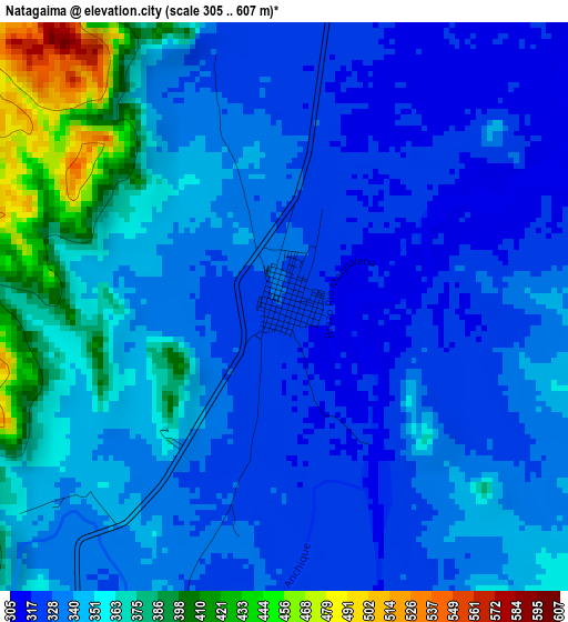 Natagaima elevation map