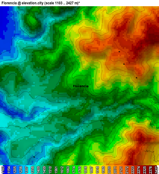 Florencia elevation map