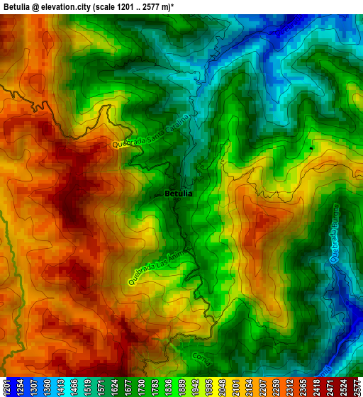 Betulia elevation map