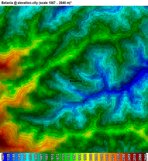 Betania elevation map