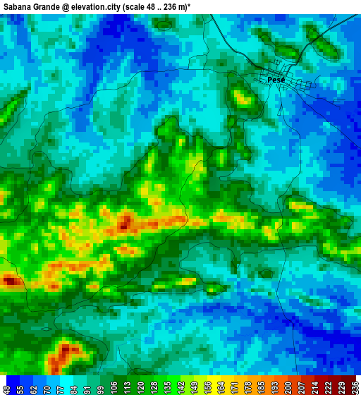 Sabana Grande elevation map