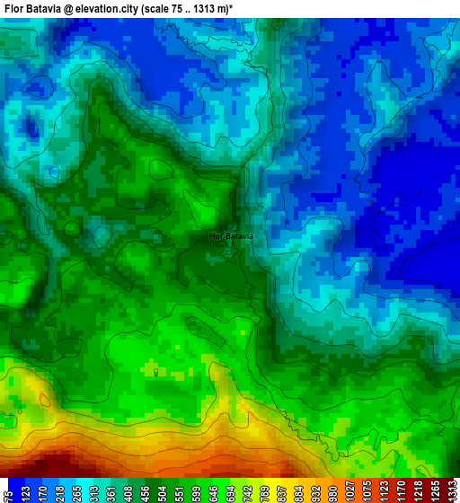 Flor Batavia elevation map