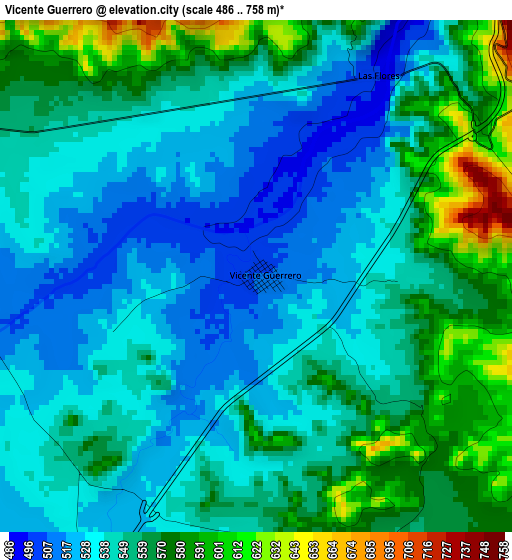 Vicente Guerrero elevation map