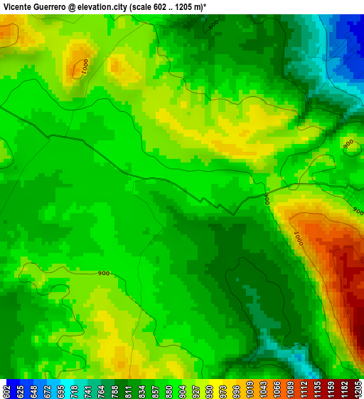 Vicente Guerrero elevation map