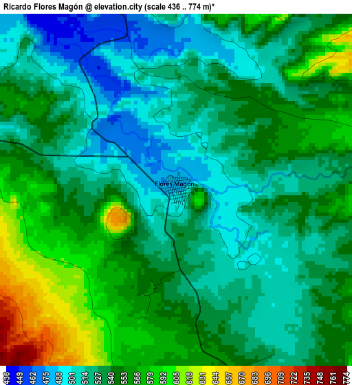 Ricardo Flores Magón elevation map