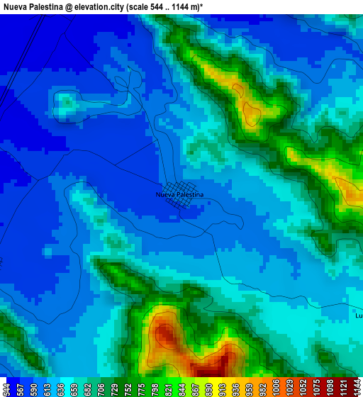 Nueva Palestina elevation map