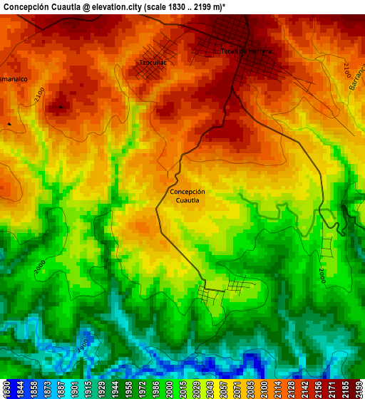 Concepción Cuautla elevation map