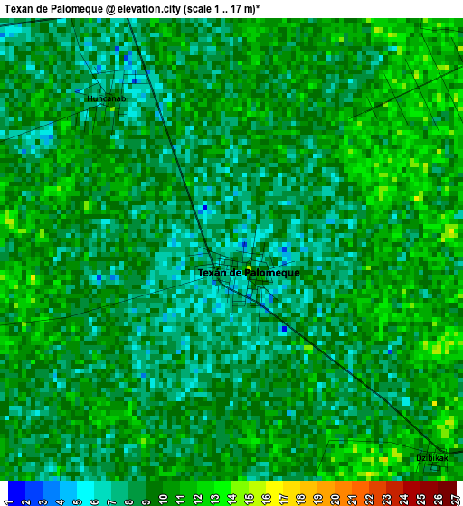 Texan de Palomeque elevation map