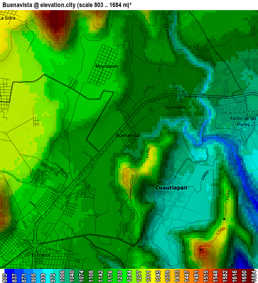 Buenavista elevation map