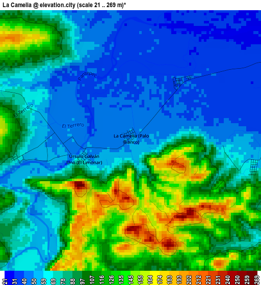 La Camelia elevation map