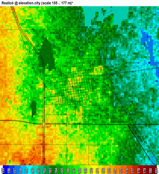 Realicó elevation map