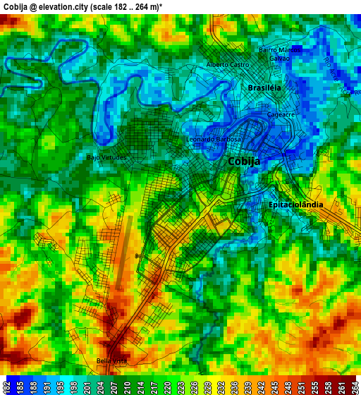 Cobija elevation map