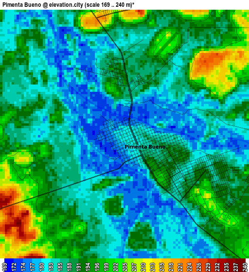 Pimenta Bueno elevation map