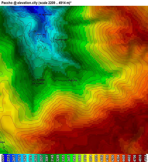 Paccho elevation map