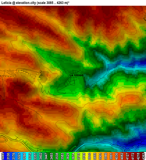 Leticia elevation map