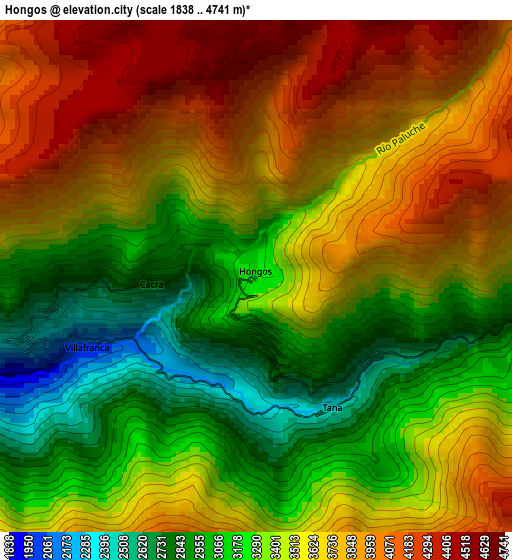 Hongos elevation map