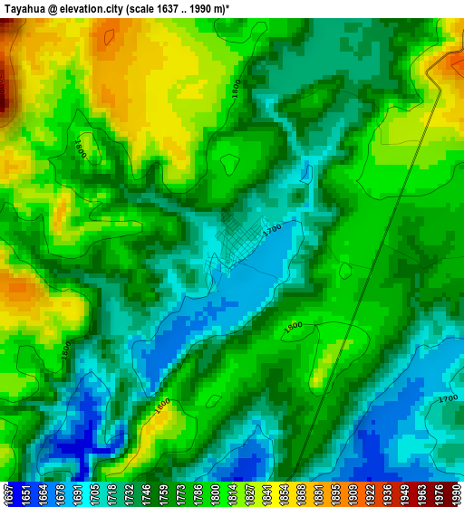 Tayahua elevation map