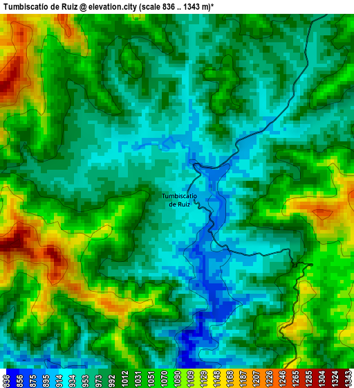 Tumbiscatío de Ruiz elevation map