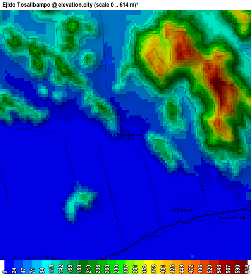 Ejido Tosalibampo elevation map