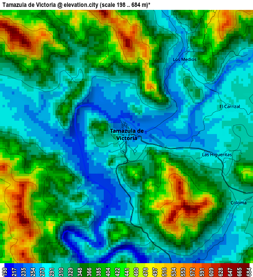 Tamazula de Victoria elevation map