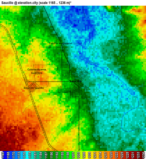 Saucillo elevation map