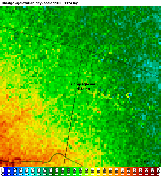 Hidalgo elevation map
