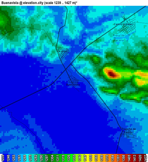 Buenavista elevation map