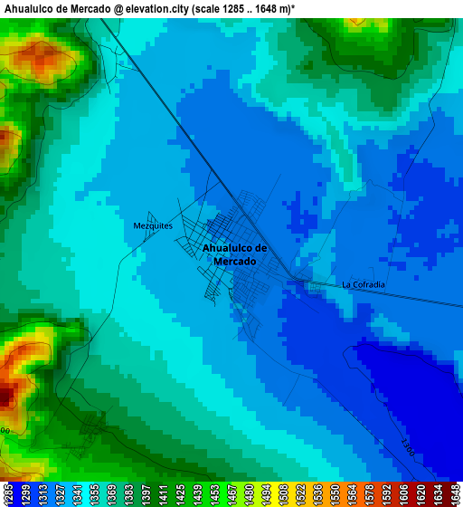 Ahualulco de Mercado elevation map