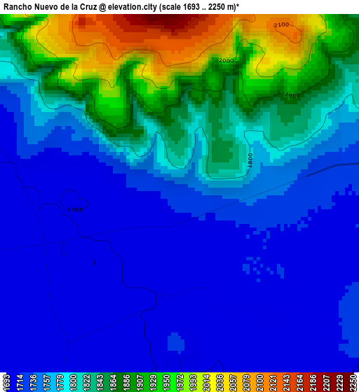 Rancho Nuevo de la Cruz elevation map