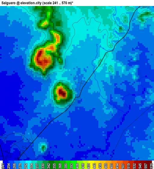 Salguero elevation map