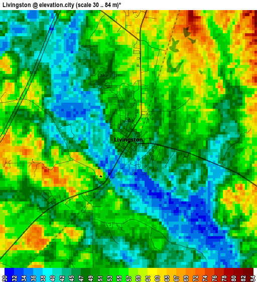 Livingston elevation map