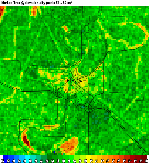 Marked Tree elevation map