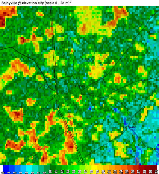 Selbyville elevation map