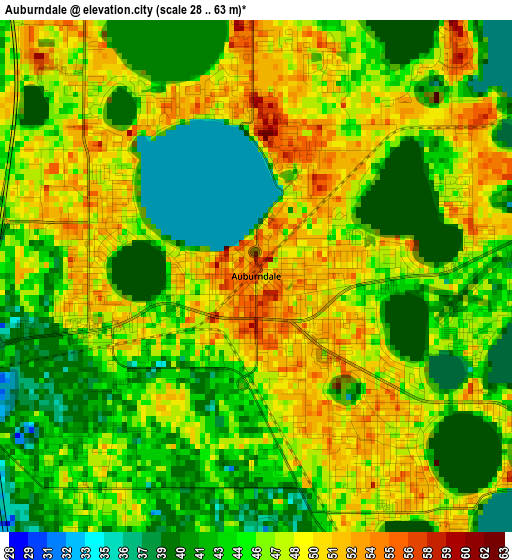 Auburndale elevation map