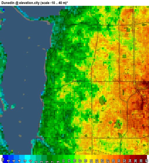 Dunedin elevation map