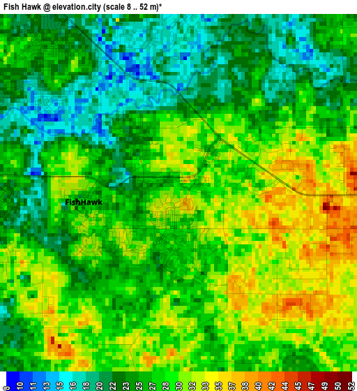 Fish Hawk elevation map