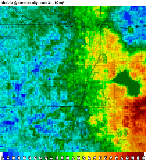 Medulla elevation map