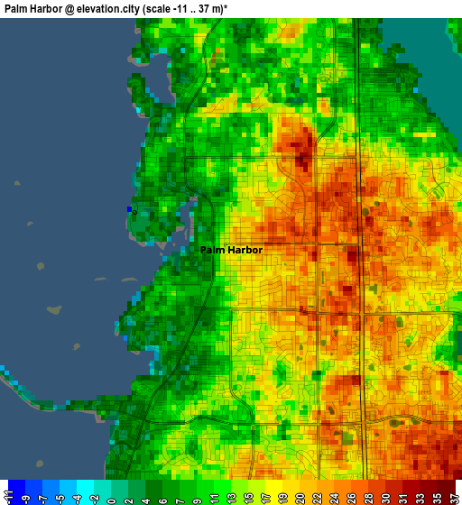 Palm Harbor elevation map