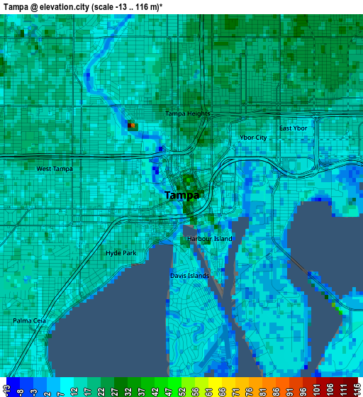 Tampa elevation map