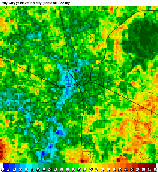 Ray City elevation map