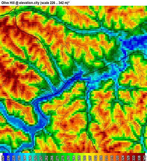 Olive Hill elevation map