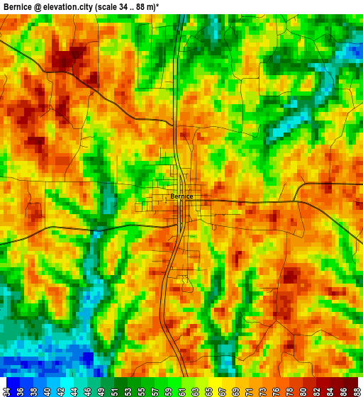 Bernice elevation map