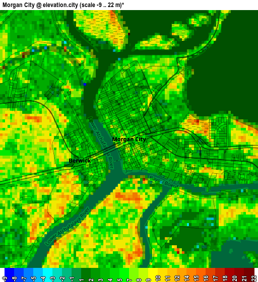 Morgan City elevation map