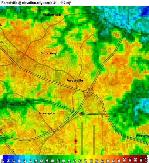 Forestville elevation map