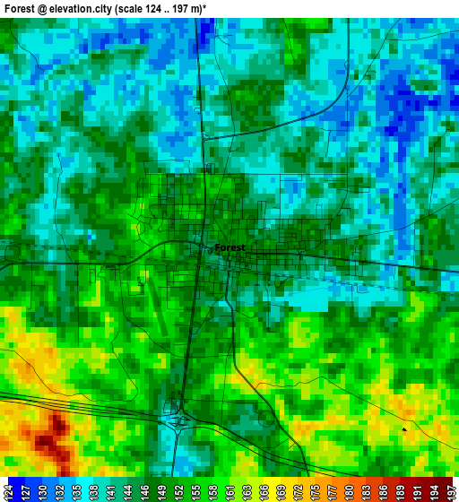 Forest elevation map