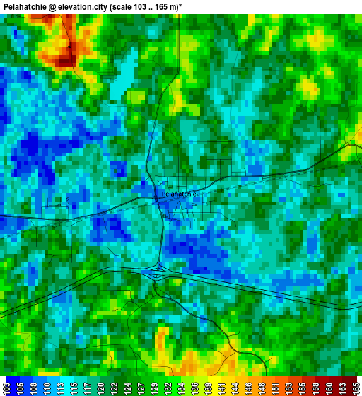 Pelahatchie elevation map