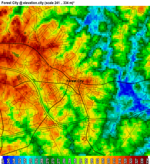 Forest City elevation map