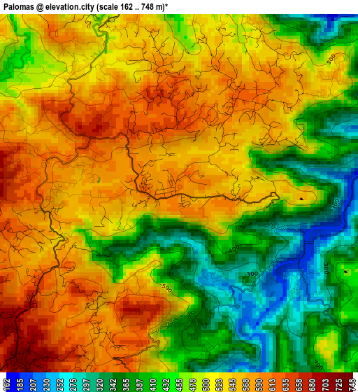 Palomas elevation map