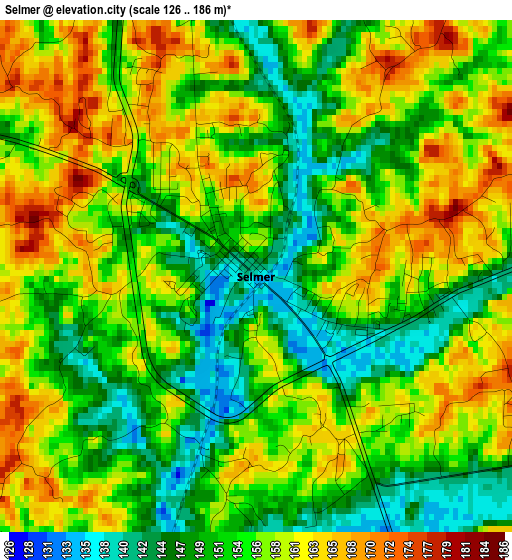 Selmer elevation map